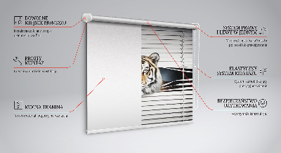 Roller blind for large window Tiger
