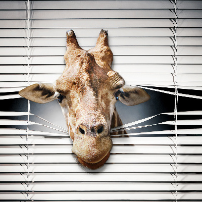 Modern roller blind Giraffe