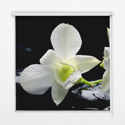 Blackout roller blind for window Orchids and elegance