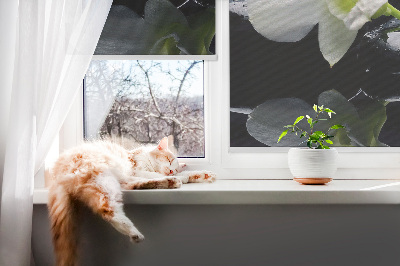 Blackout roller blind for window Orchids and elegance