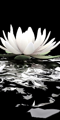 Fabric roller blind for window Water lilies on the surface