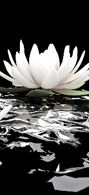 Fabric roller blind for window Water lilies on the surface
