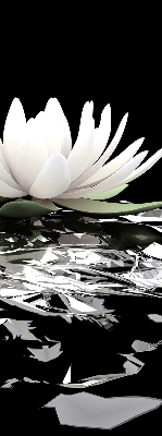 Fabric roller blind for window Water lilies on the surface