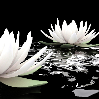 Fabric roller blind for window Water lilies on the surface