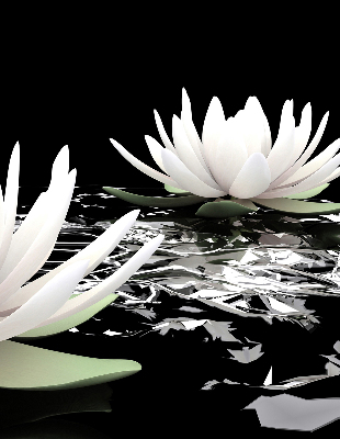 Fabric roller blind for window Water lilies on the surface
