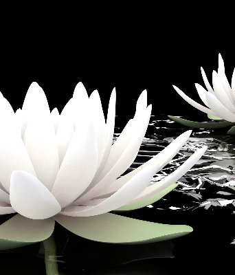 Fabric roller blind for window Water lilies on the surface