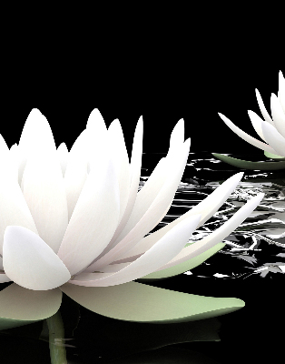 Fabric roller blind for window Water lilies on the surface