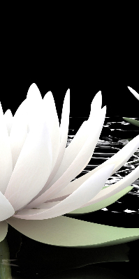 Fabric roller blind for window Water lilies on the surface