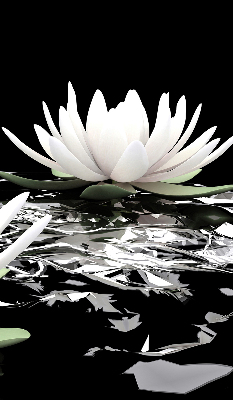 Fabric roller blind for window Water lilies on the surface