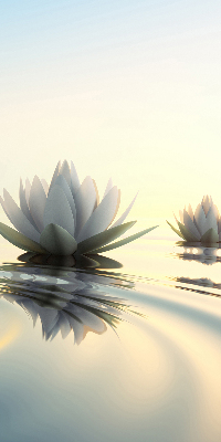 Blackout roller blind Water lilies