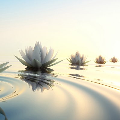 Blackout roller blind Water lilies