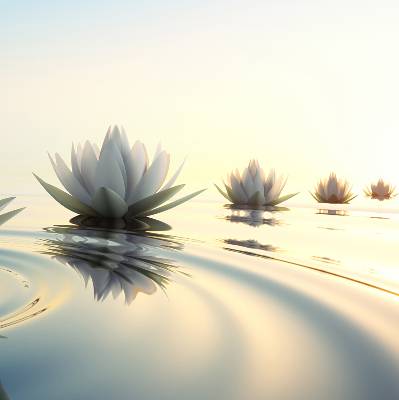 Blackout roller blind Water lilies