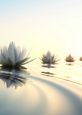 Blackout roller blind Water lilies