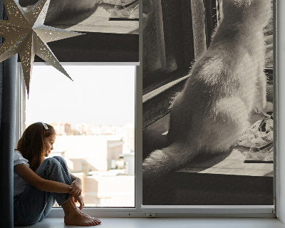 Blackout roller blind Cats in the window