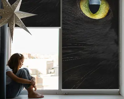 Blackout roller blind for window cat eyes pattern