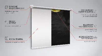 Blackout roller blind for window cat eyes pattern