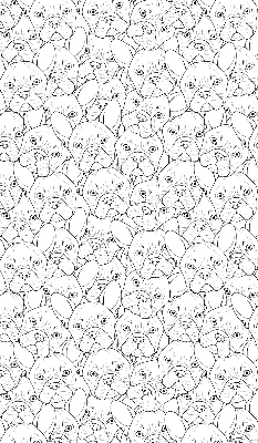 Fabric roller blind for window drawn dogs pattern