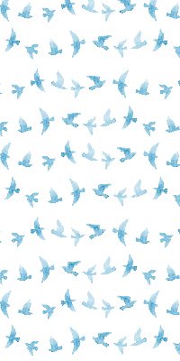 Blackout roller blind for window Blue birds
