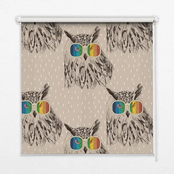 Fabric roller blind for window with owls wearing colorful glasses