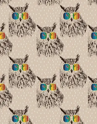 Fabric roller blind for window with owls wearing colorful glasses