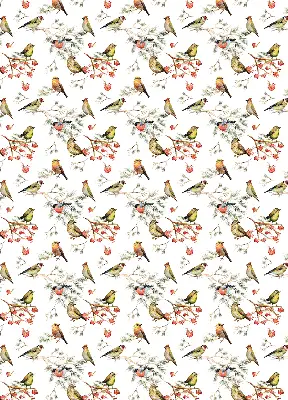 Blackout roller blind for window with birds on branches print