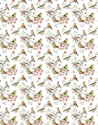 Blackout roller blind for window with birds on branches print