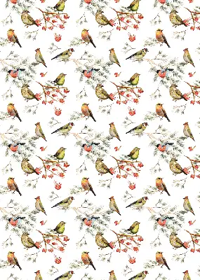 Blackout roller blind for window with birds on branches print