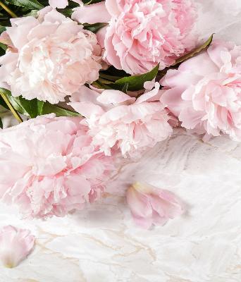 Fabric roller blind for window Flowers