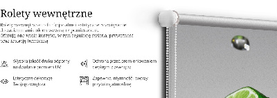 Fabric roller blind for window Limes in water