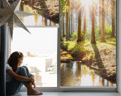Blackout roller blind for window The sun shining through the trees
