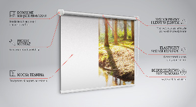 Blackout roller blind for window The sun shining through the trees