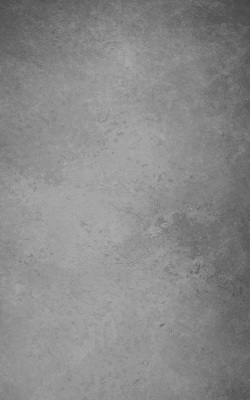 Blackout roller blind for window Gray smoke