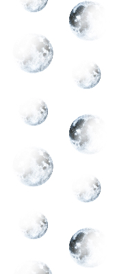 Fabric roller blind for window Moons