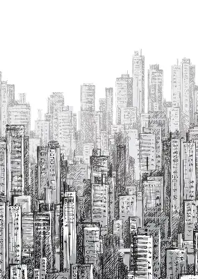 Blackout roller blind City design for windows