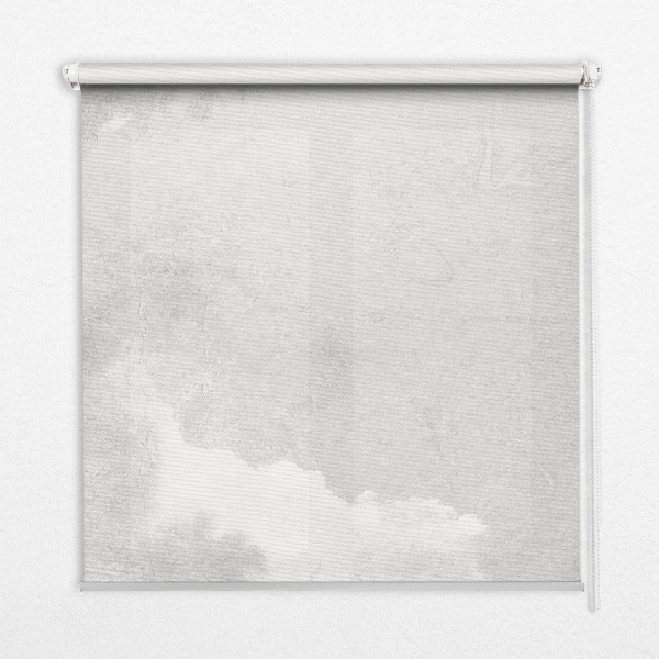 Blackout roller blind for window Gray sky