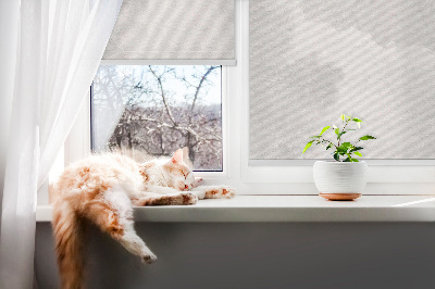 Blackout roller blind for window Gray sky