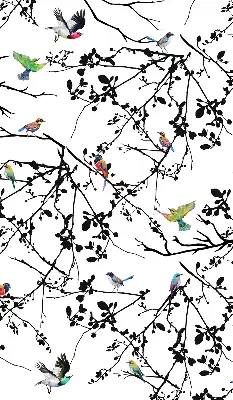 Blackout roller blind birds on the branches print