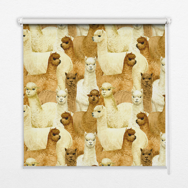 Blackout roller blind for window A herd of alpacas