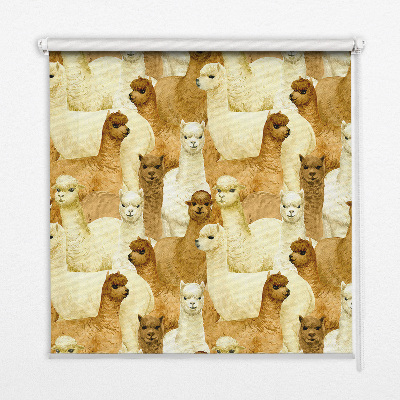 Blackout roller blind for window A herd of alpacas