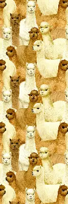 Blackout roller blind for window with an alpaca herd print