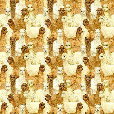 Blackout roller blind for window A herd of alpacas