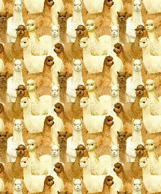 Blackout roller blind for window A herd of alpacas