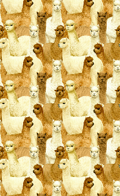 Blackout roller blind for window A herd of alpacas