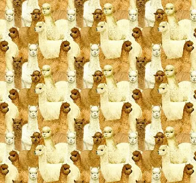 Blackout roller blind for window with an alpaca herd print