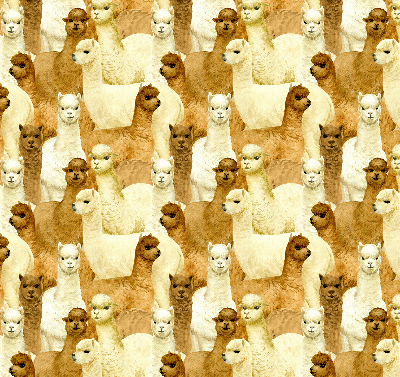 Blackout roller blind for window A herd of alpacas