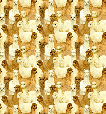 Blackout roller blind for window A herd of alpacas