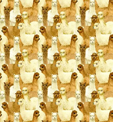 Blackout roller blind for window with an alpaca herd print