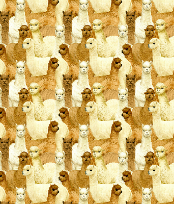 Blackout roller blind for window A herd of alpacas