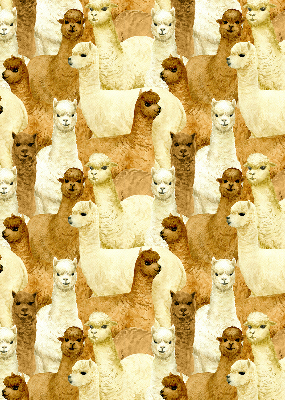 Blackout roller blind for window A herd of alpacas
