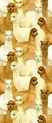Blackout roller blind for window with an alpaca herd print